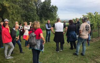 Wandergruppe auf einer Wiese