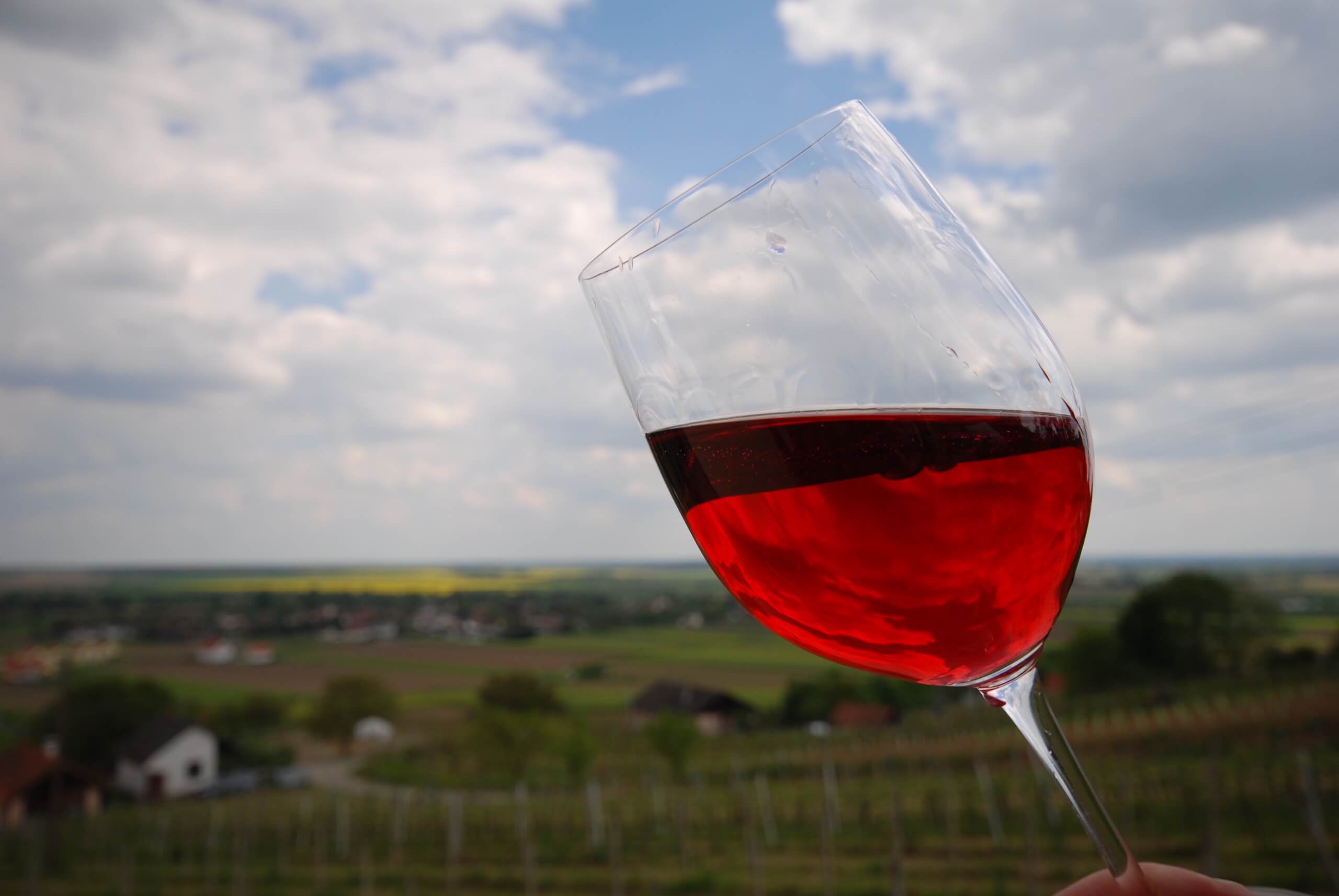 Glas Wein im Fokus und Landschaft im Hintergrund