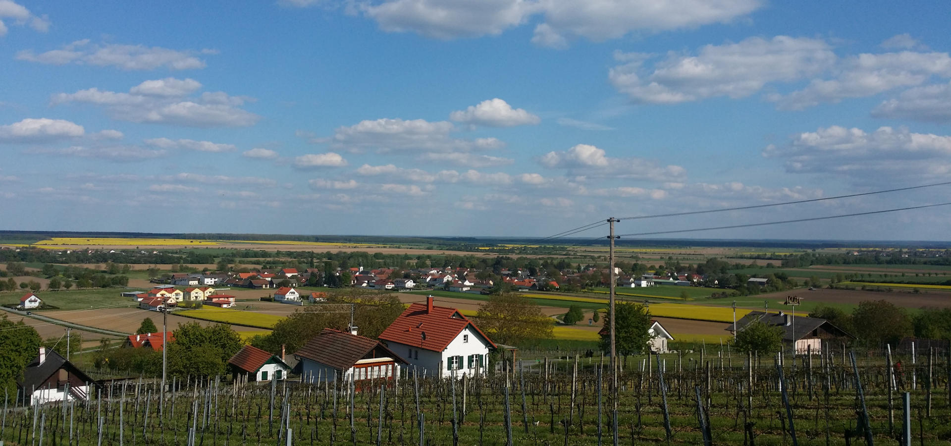 Landschaftsaufnahme Weingut Grosz mit blauem Himmel