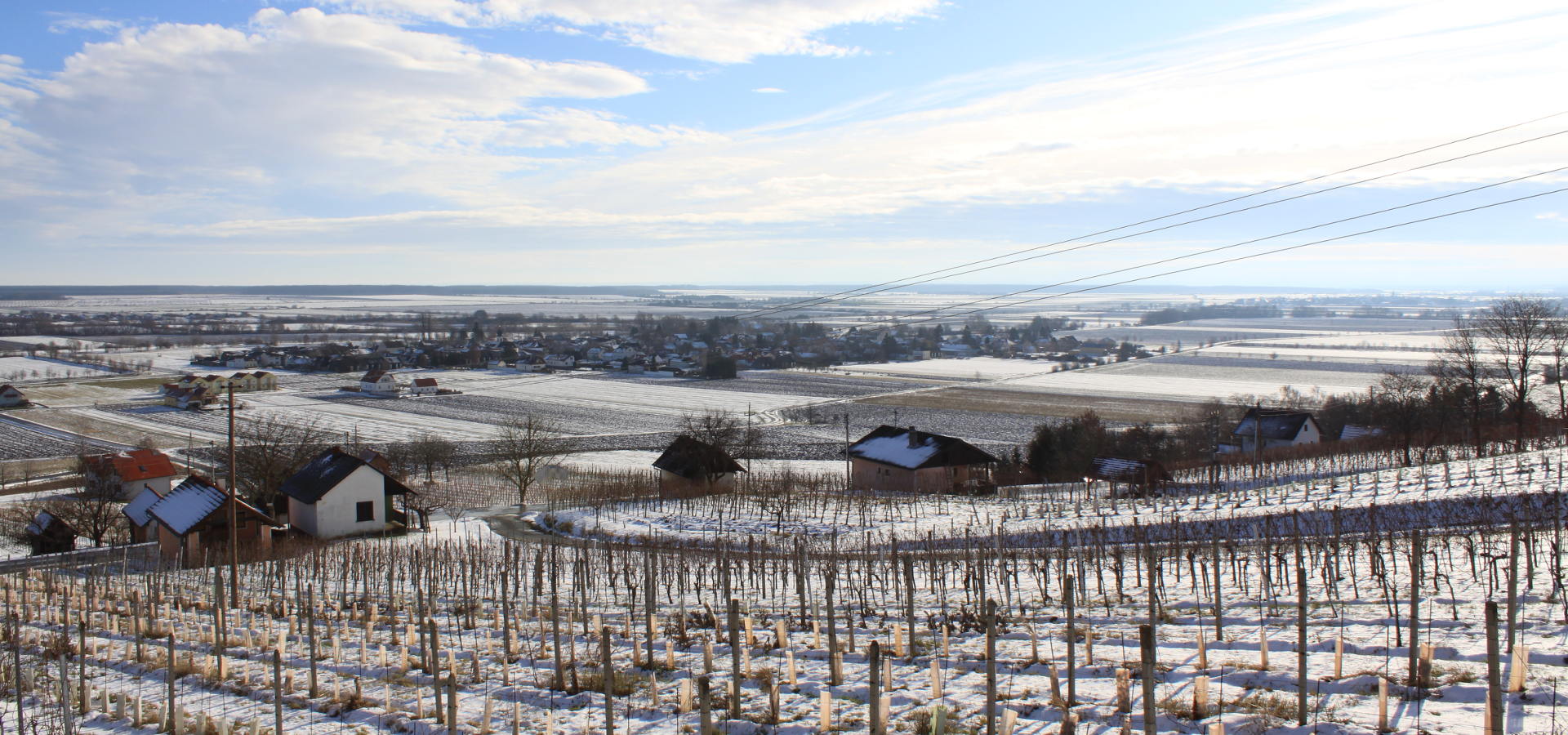 Landschaftsaufnahme Weingut Grosz im Winter mit Schnee
