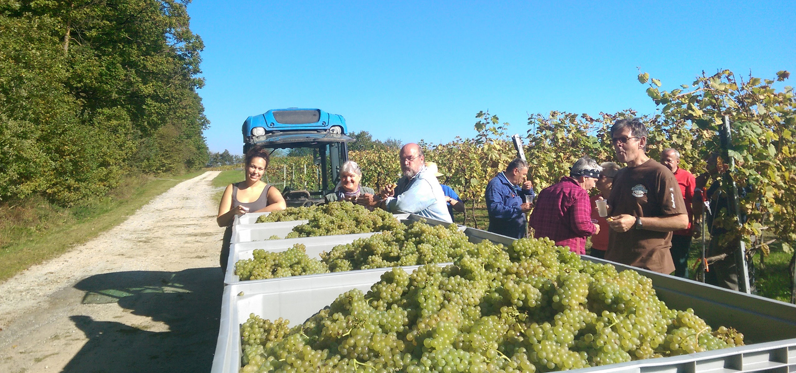 Team Grosz bei der Arbeit im Weingut