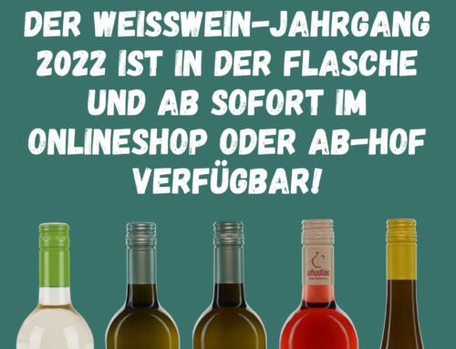 Der Weißweinjahrgang 2022 ist abgefüllt