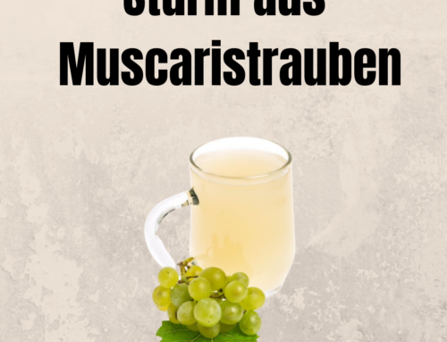 MUSCARISSTURM