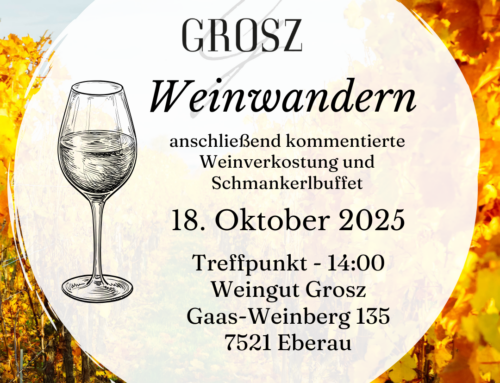 Weinwandern