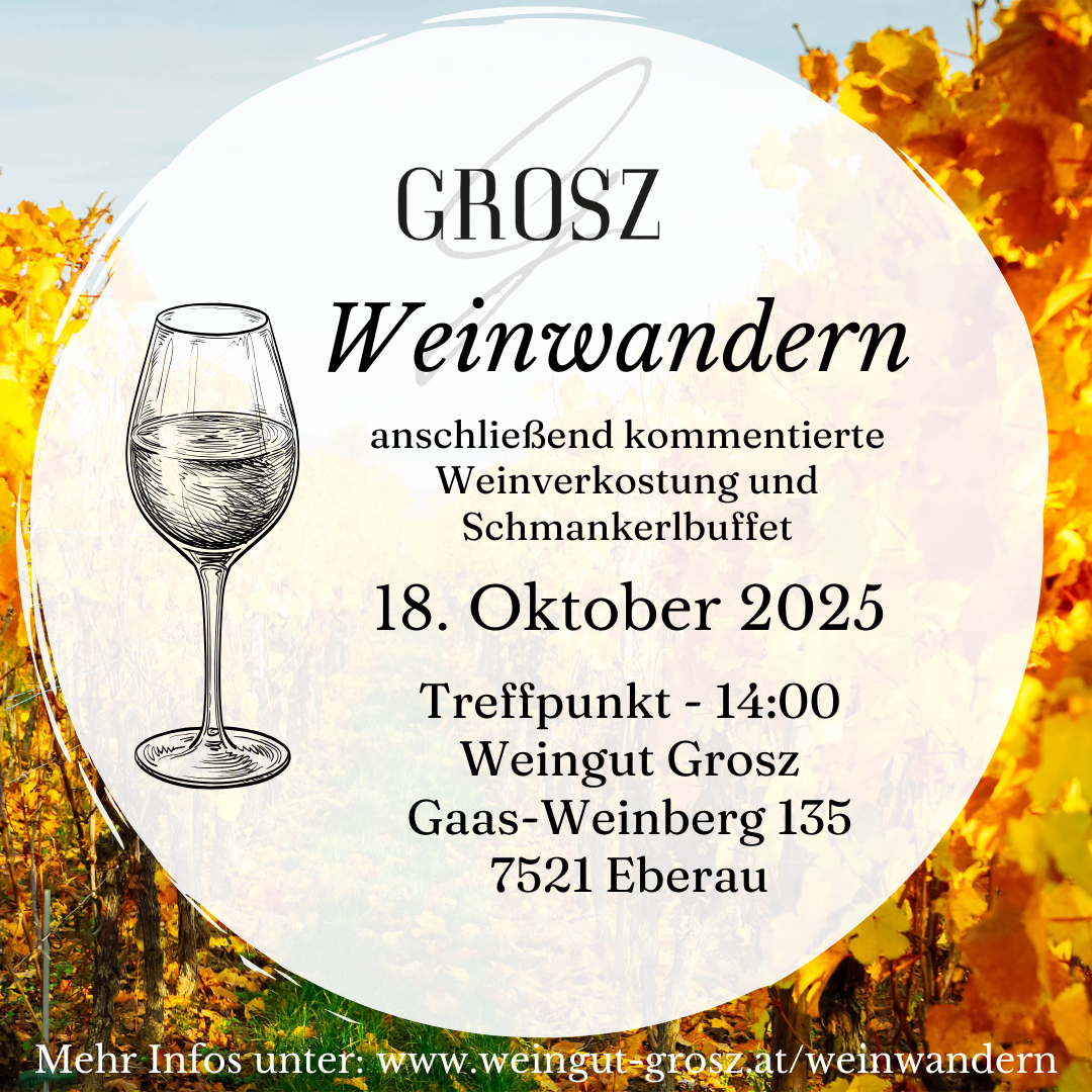 Weinwandern 2025 – Insta (3)